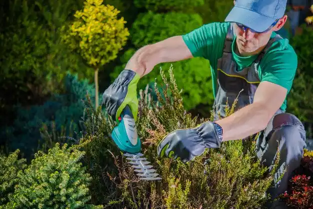 landscaping services Bay City